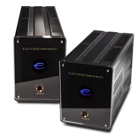 AW 300 M Mono Power Amplifier