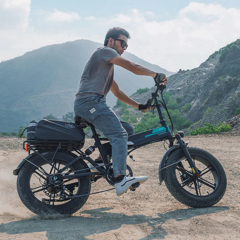 Fiido M1 Pro Fat Tire Electric Bike